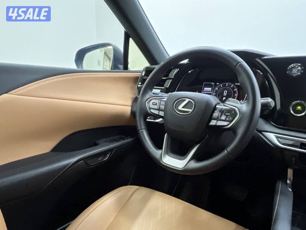 LEXUS RX350 PREMIER12