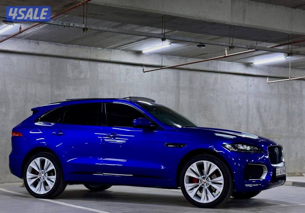 للمتميزين فقط مرحبا في الاتصال،/أعلا اوبشن S1