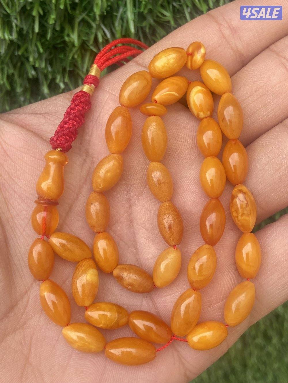 كهرب بولندي قديم0