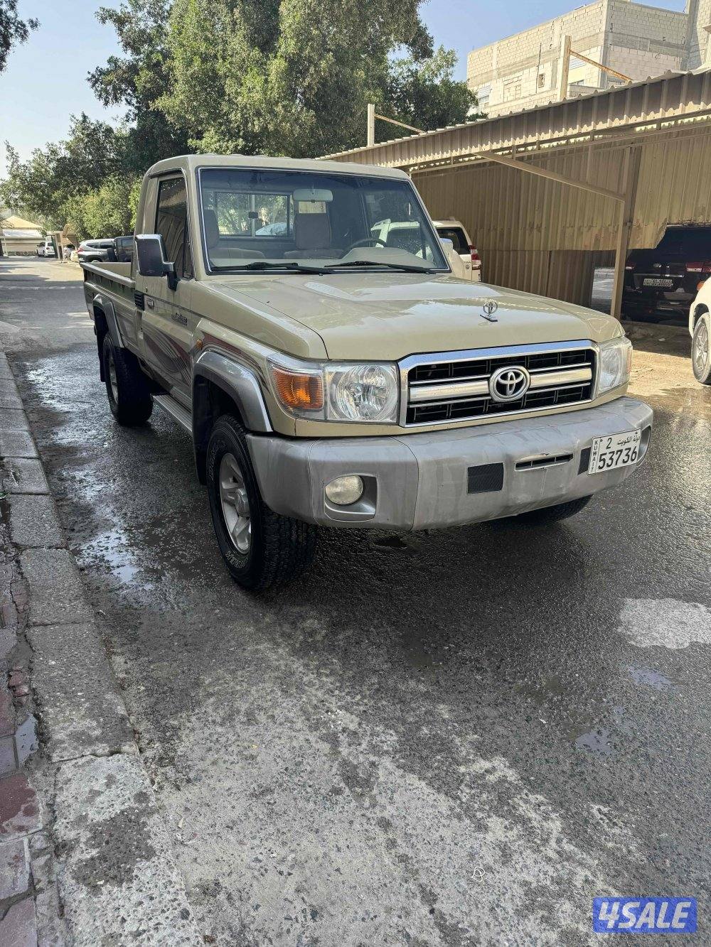 شاص ٢٠٠٩ ممشى قليل1