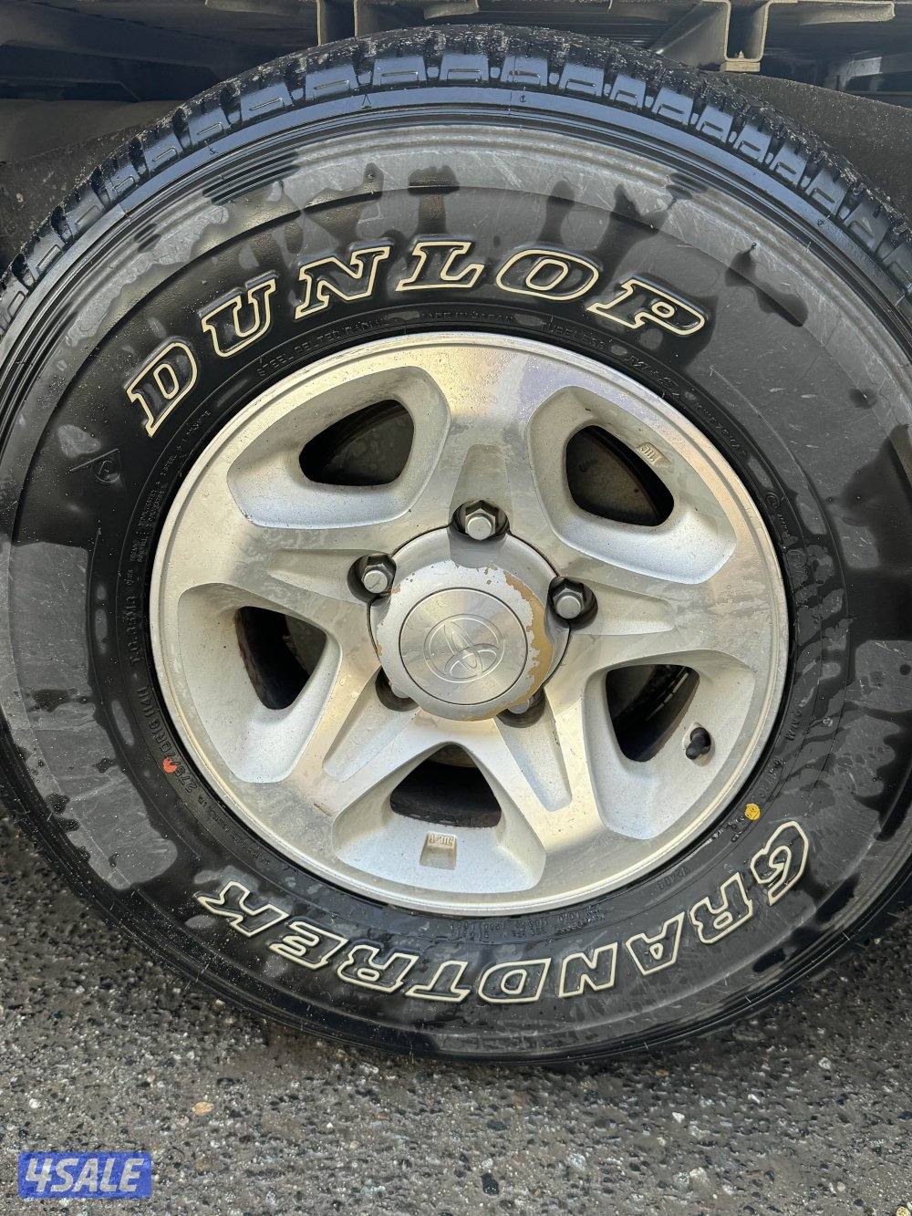 شاص ٢٠٠٩ ممشى قليل2