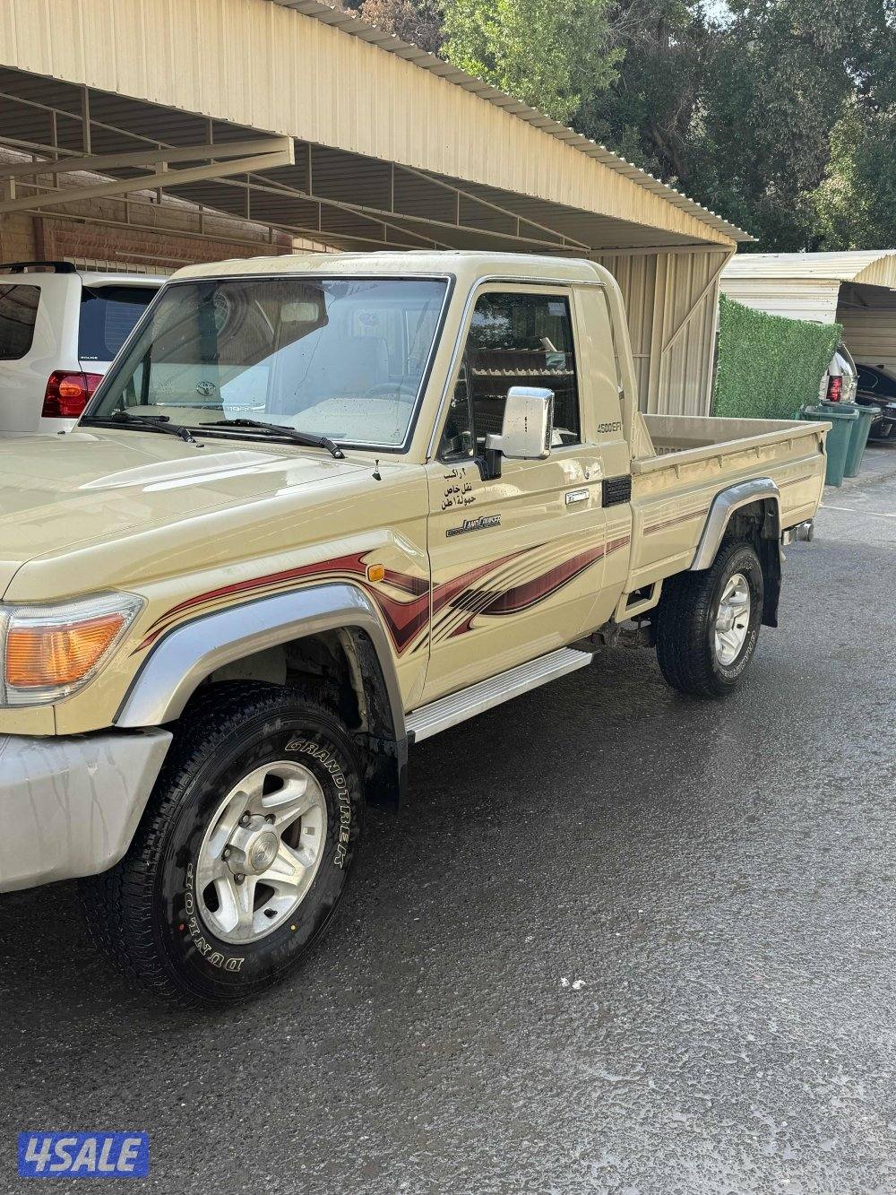 شاص ٢٠٠٩ ممشى قليل3