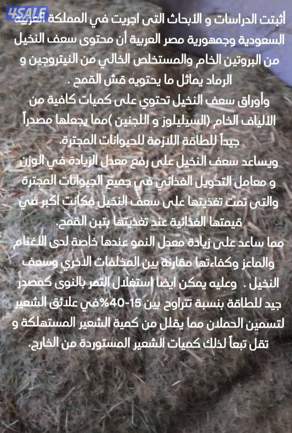 للبيع سعف مجروش1