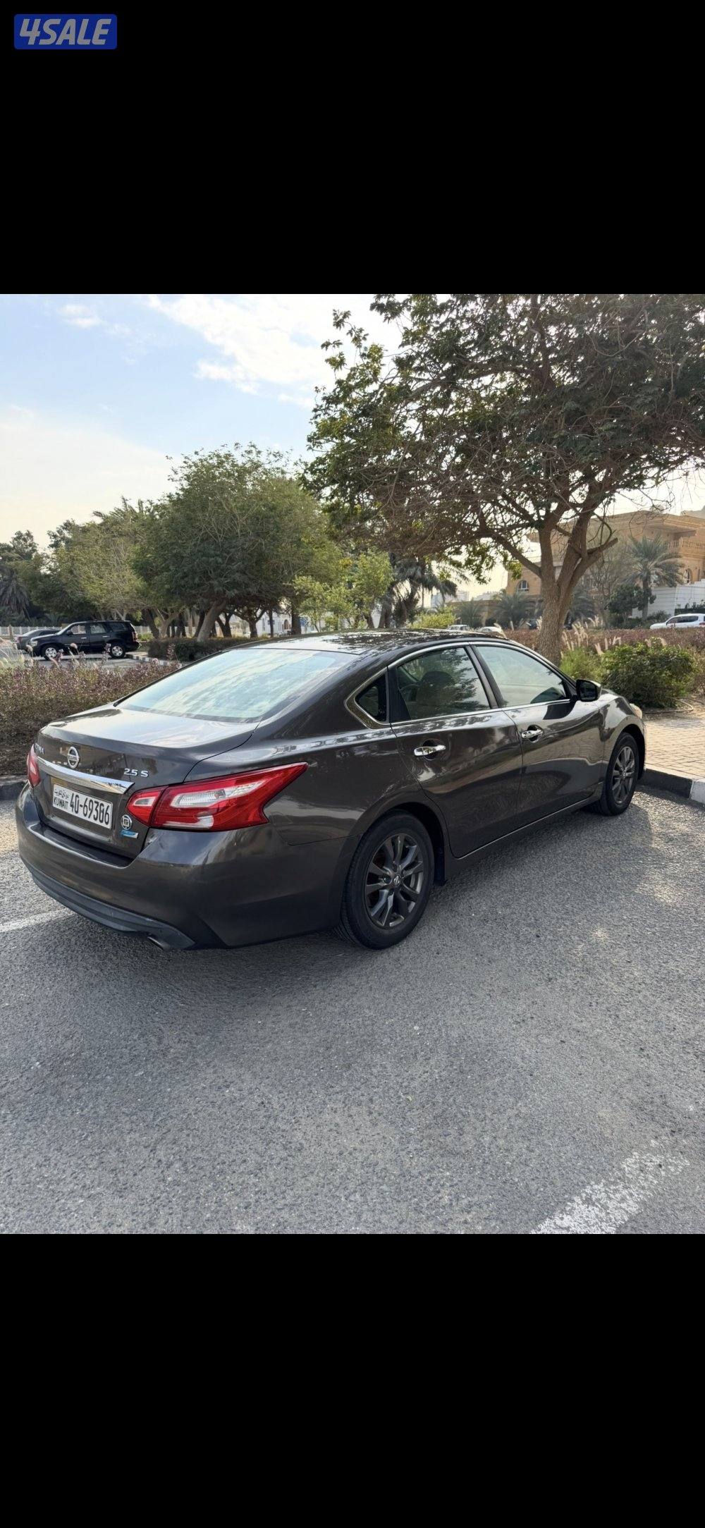 التيما شرط الفحص2