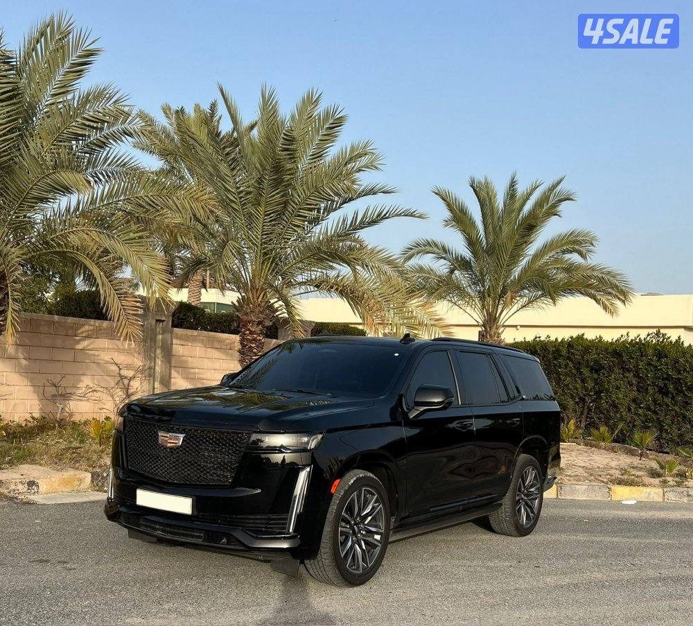 سبورت بلاتينيوم 20230