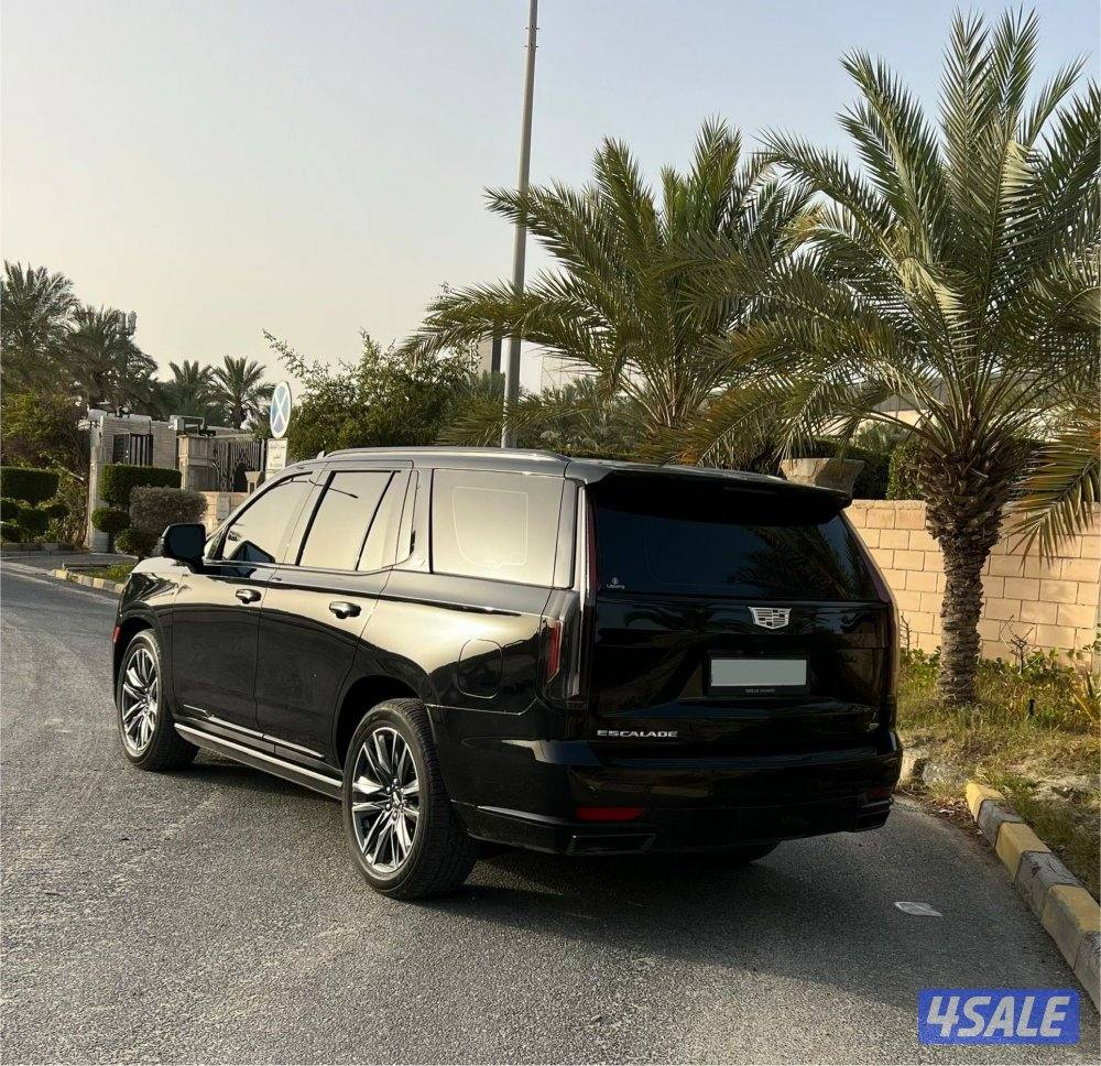 سبورت بلاتينيوم 20232