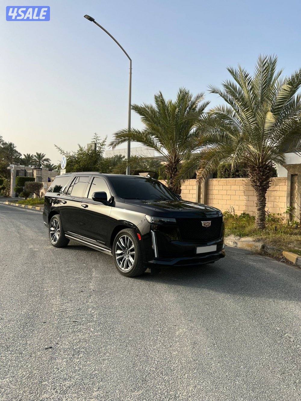 سبورت بلاتينيوم 20233