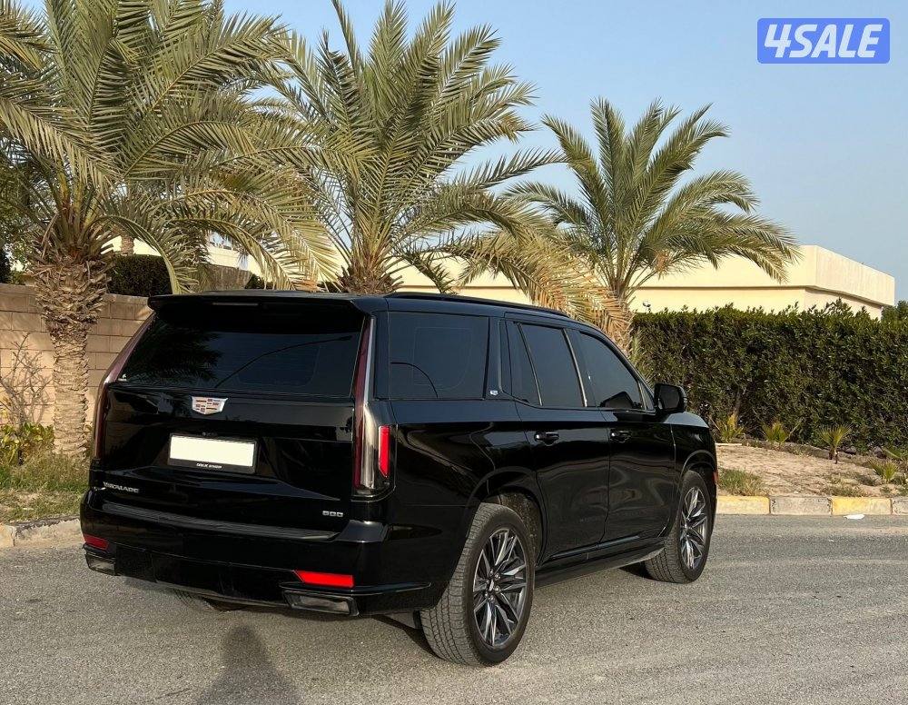 سبورت بلاتينيوم 20235