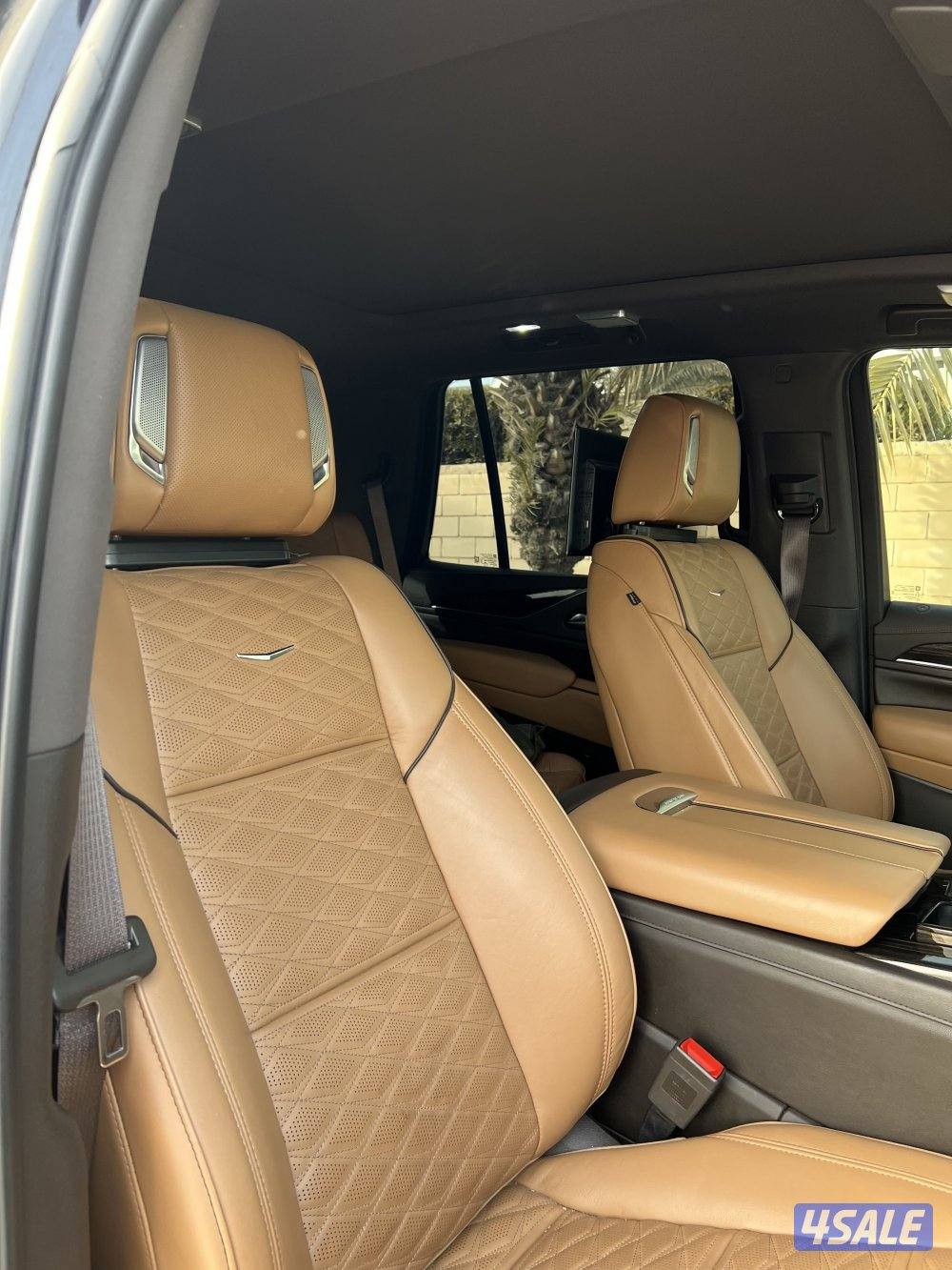 سبورت بلاتينيوم 20238