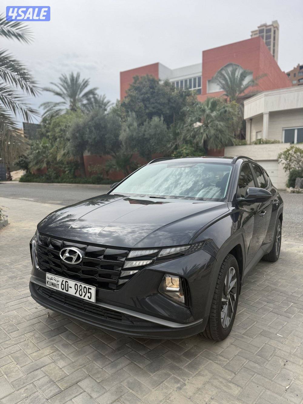 عداد فقط 75 صبغة الوكالة 221