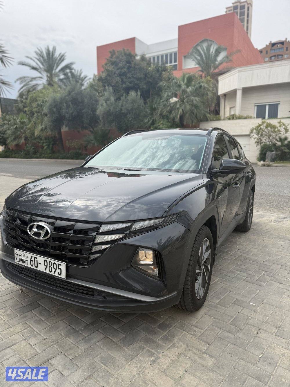 عداد فقط 75 صبغة الوكالة 222