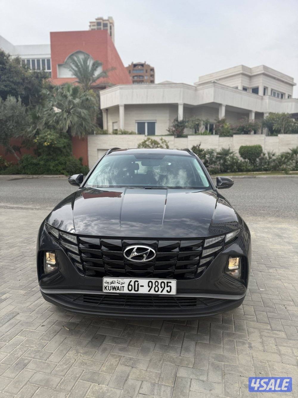 عداد فقط 75 صبغة الوكالة 224