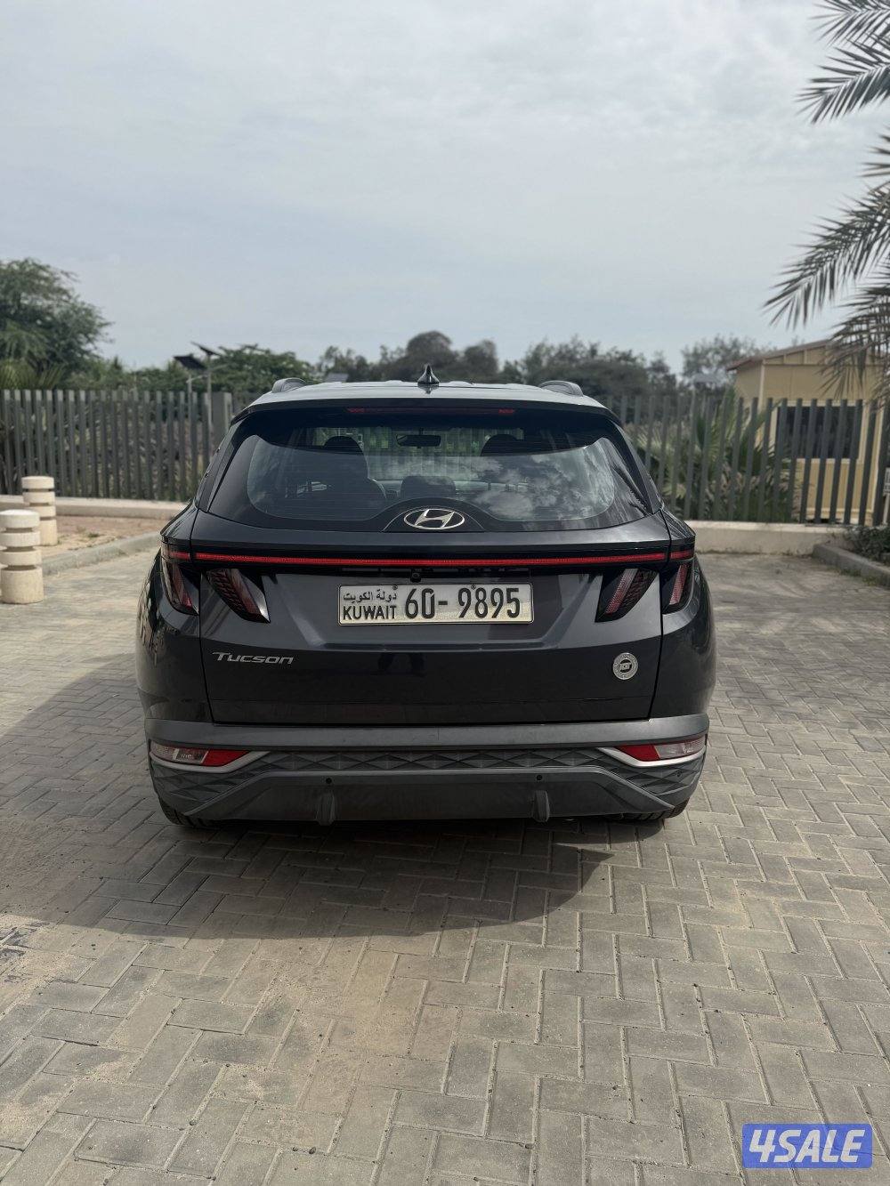 عداد فقط 75 صبغة الوكالة 228