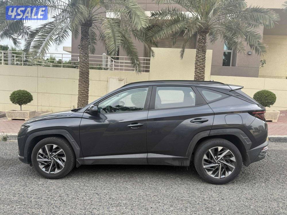 عداد فقط 75 صبغة الوكالة 229