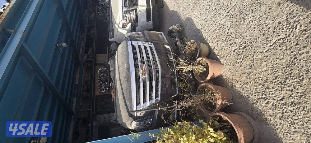 سكراب السالمي النعايم4