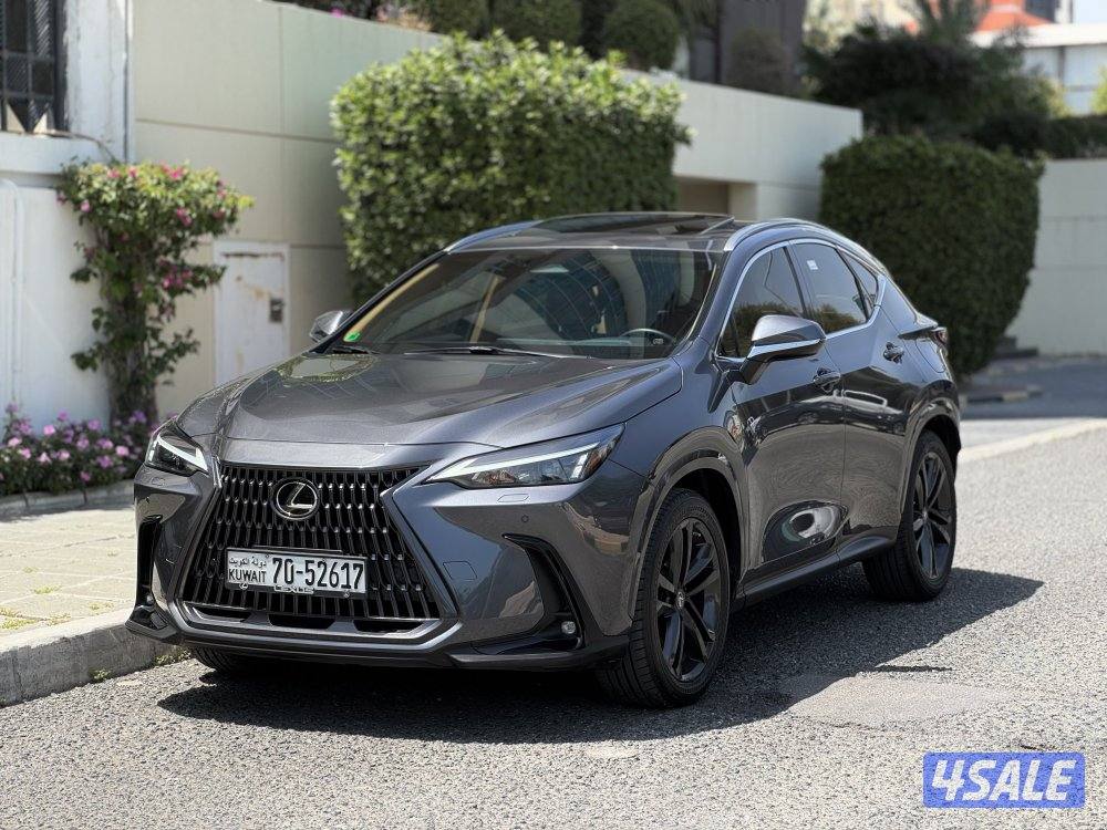 لكزس NX350 لكجري لاين 2023 عداد 41 الدرجة الأولى صبغ وكالة0