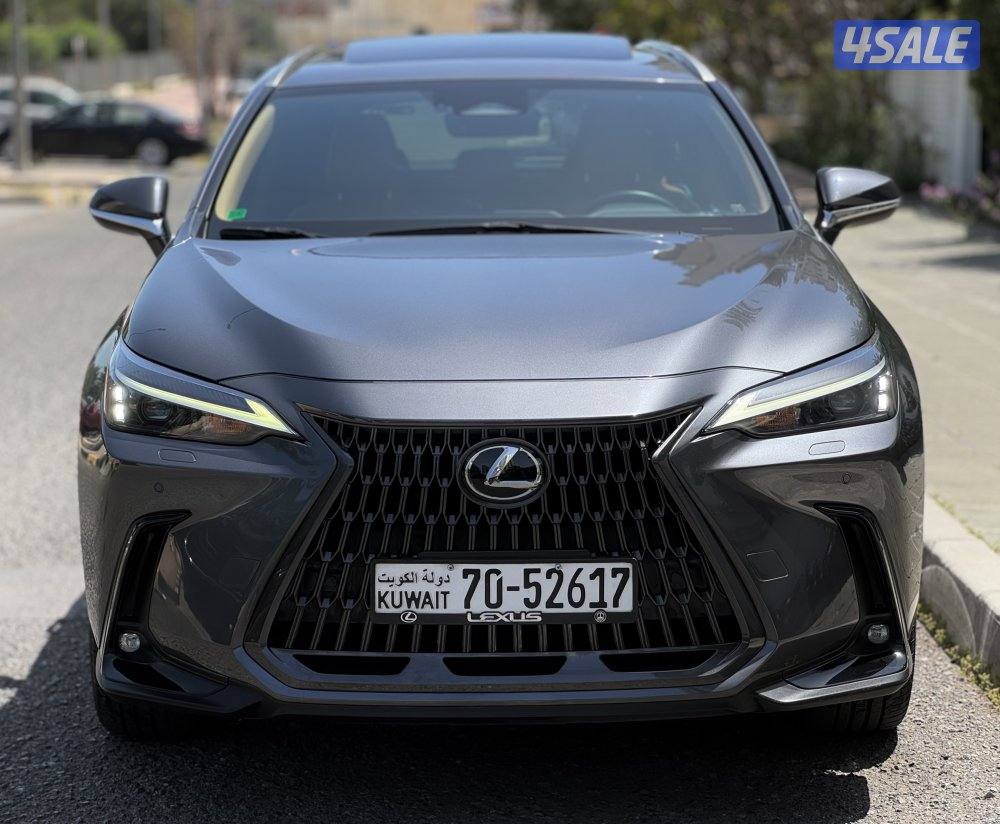 لكزس NX350 لكجري لاين 2023 عداد 41 الدرجة الأولى صبغ وكالة1