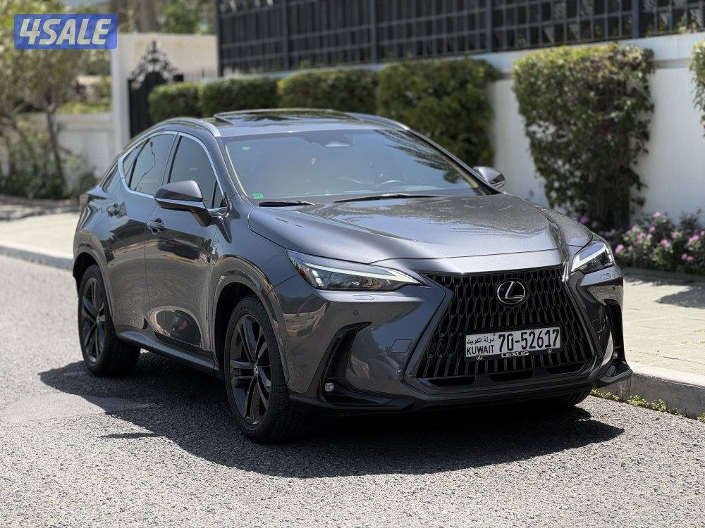 لكزس NX350 لكجري لاين 2023 عداد 41 الدرجة الأولى صبغ وكالة2