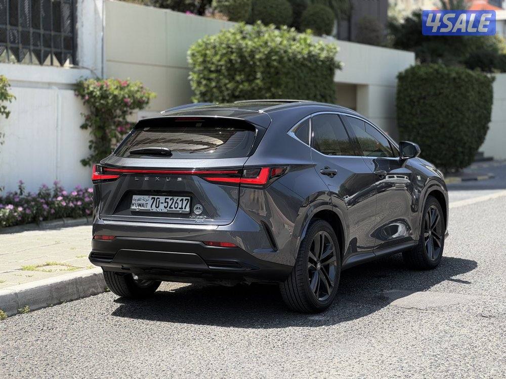 لكزس NX350 لكجري لاين 2023 عداد 41 الدرجة الأولى صبغ وكالة3