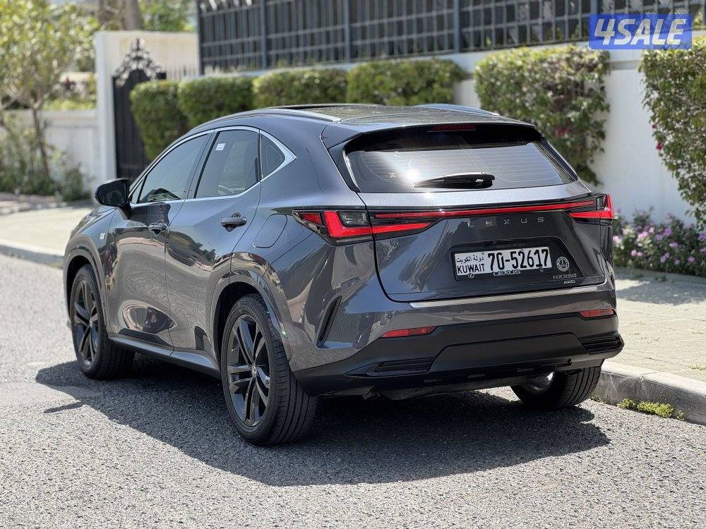 لكزس NX350 لكجري لاين 2023 عداد 41 الدرجة الأولى صبغ وكالة4