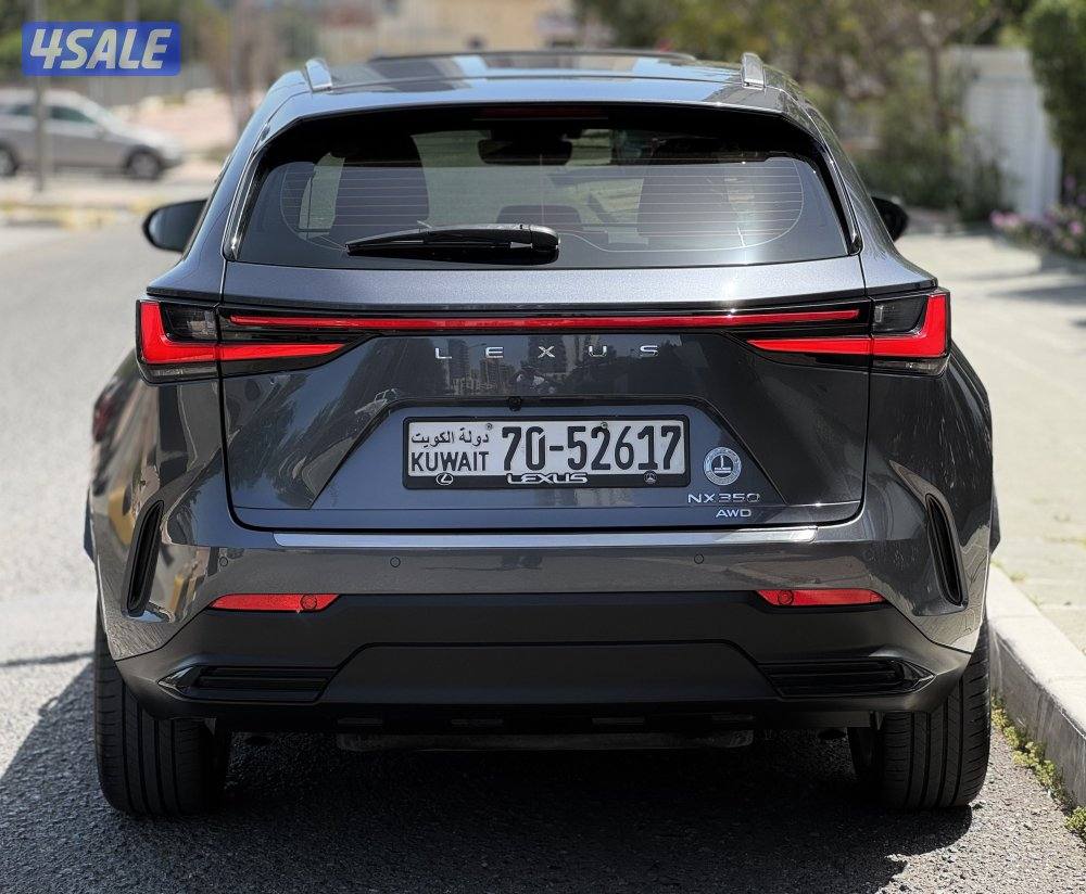 لكزس NX350 لكجري لاين 2023 عداد 41 الدرجة الأولى صبغ وكالة6