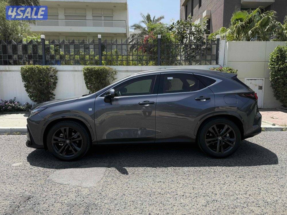 لكزس NX350 لكجري لاين 2023 عداد 41 الدرجة الأولى صبغ وكالة7