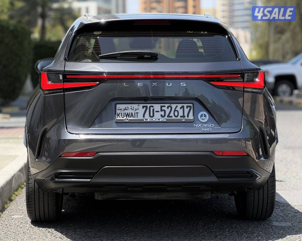 لكزس NX350 لكجري لاين 2023 عداد 41 الدرجة الأولى صبغ وكالة11
