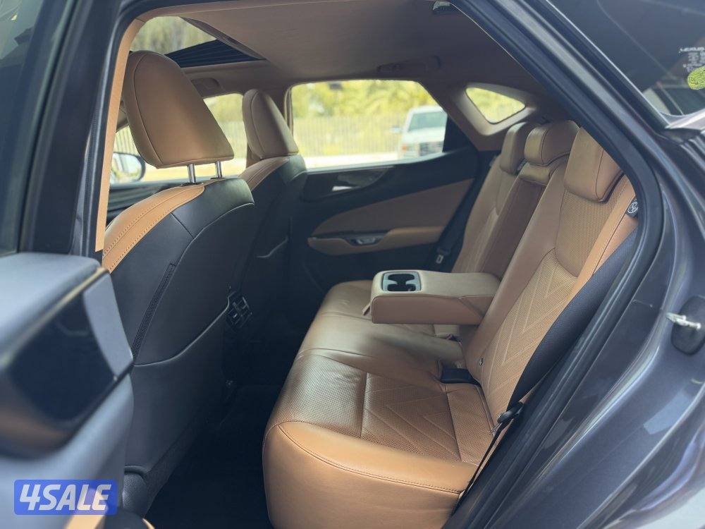 لكزس NX350 لكجري لاين 2023 عداد 41 الدرجة الأولى صبغ وكالة13