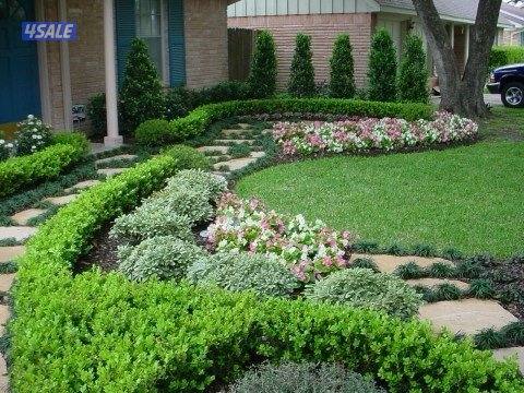 زراع تنسيق الحدائق و تنسيق نخيل تنظيف و شيل فروخ رش دوا السوس بيع نخل5