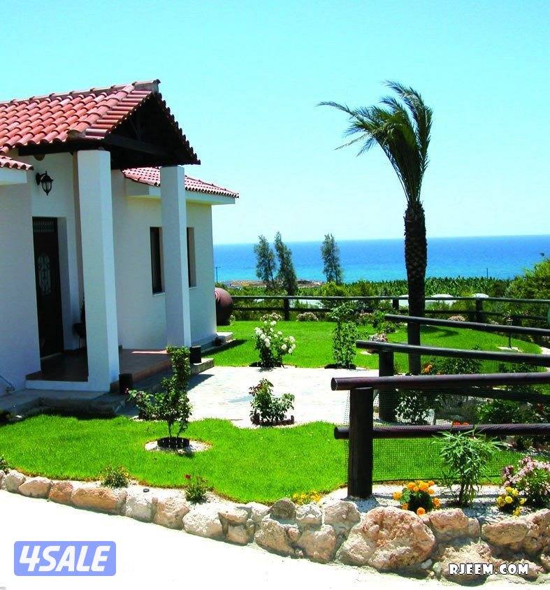 زراع تنسيق الحدائق و تنسيق نخيل تنظيف و شيل فروخ رش دوا السوس بيع نخل6