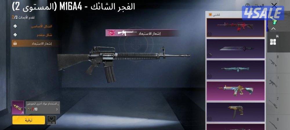 حساب ببجي للبيع8