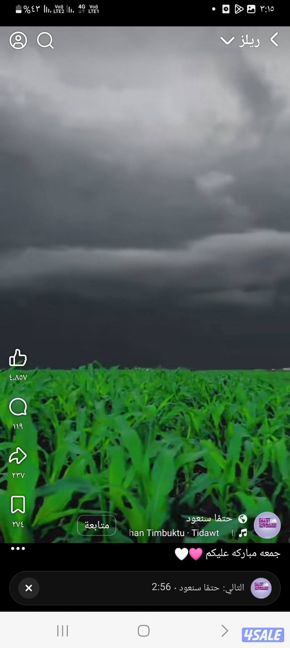 انا سوداني ابحث عن عمل0