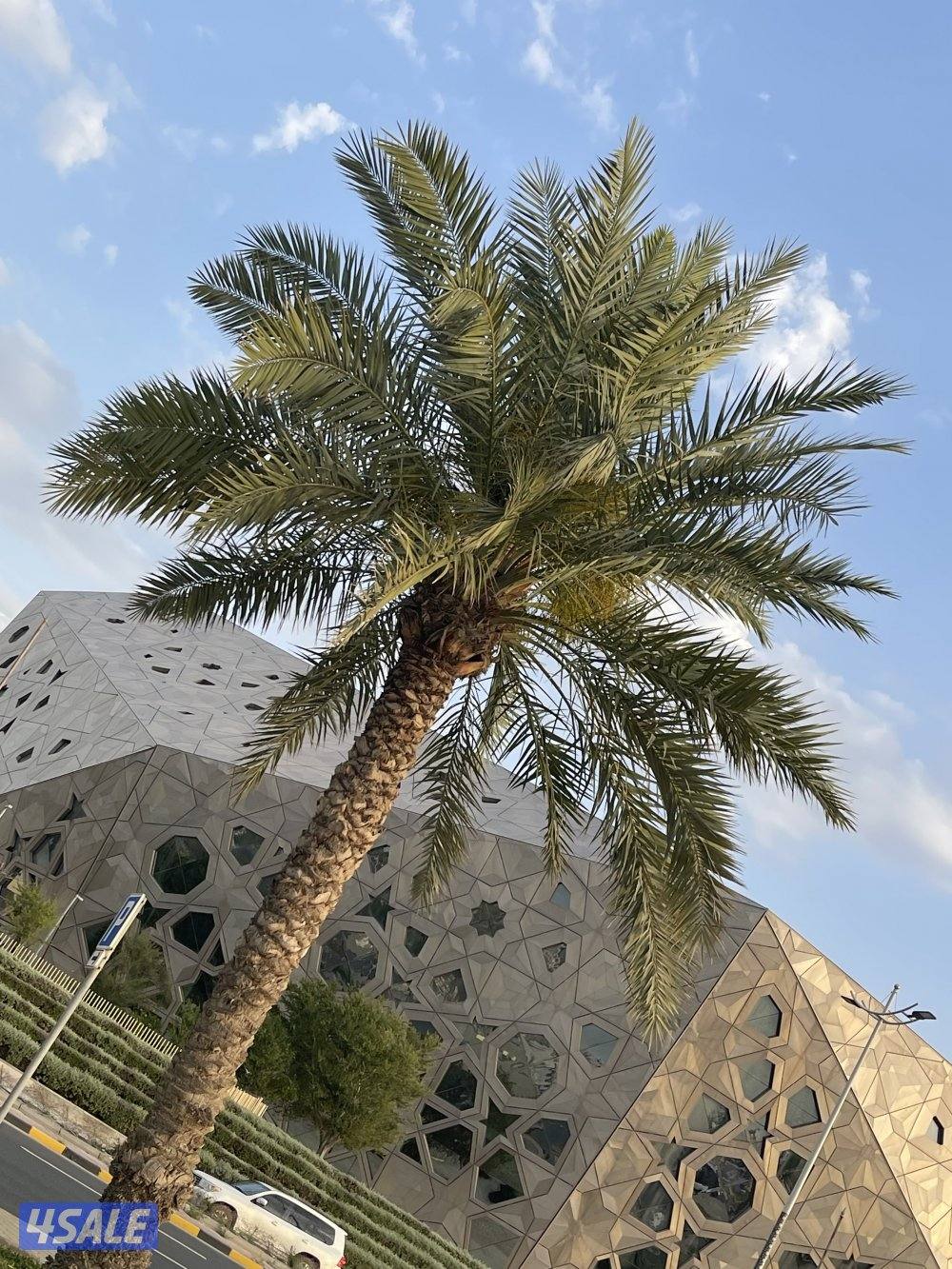 ابحث عن عمل طباعة وادخال بيانات في المكاتب بشكل عام0