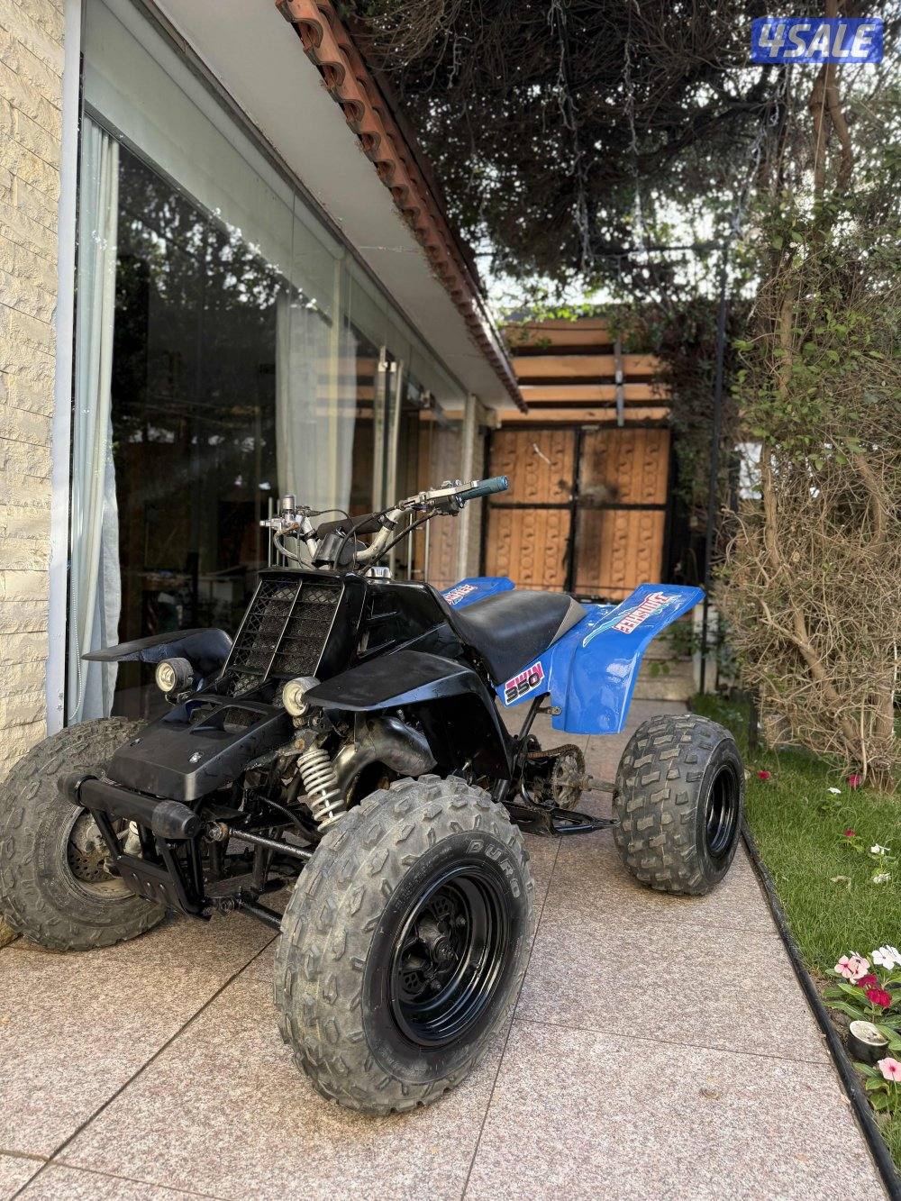 بانشي ٢٠٠٤5