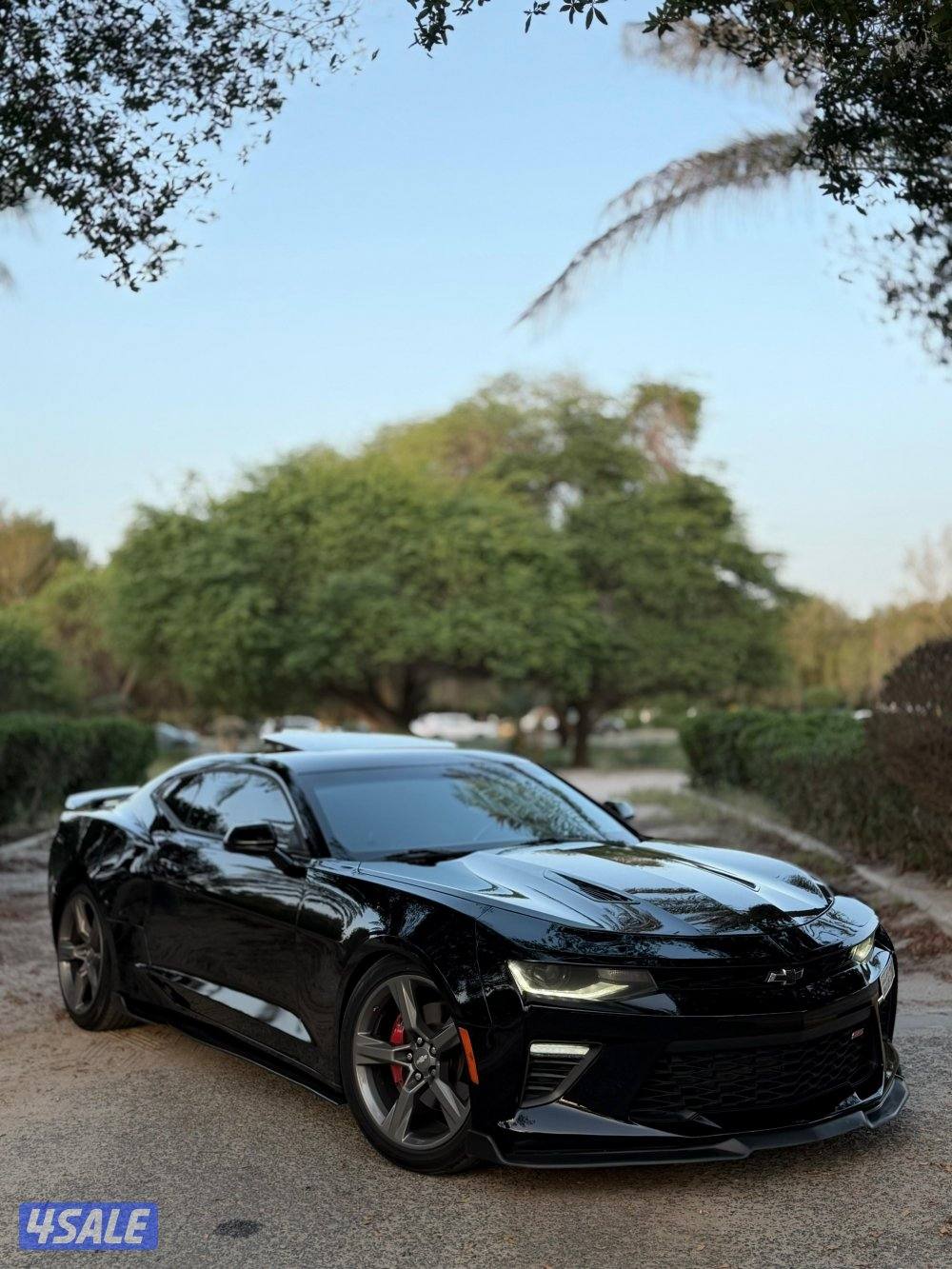 للبيع كمارو 2SS 20160