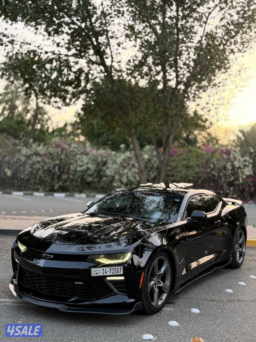 للبيع كمارو 2SS 20161