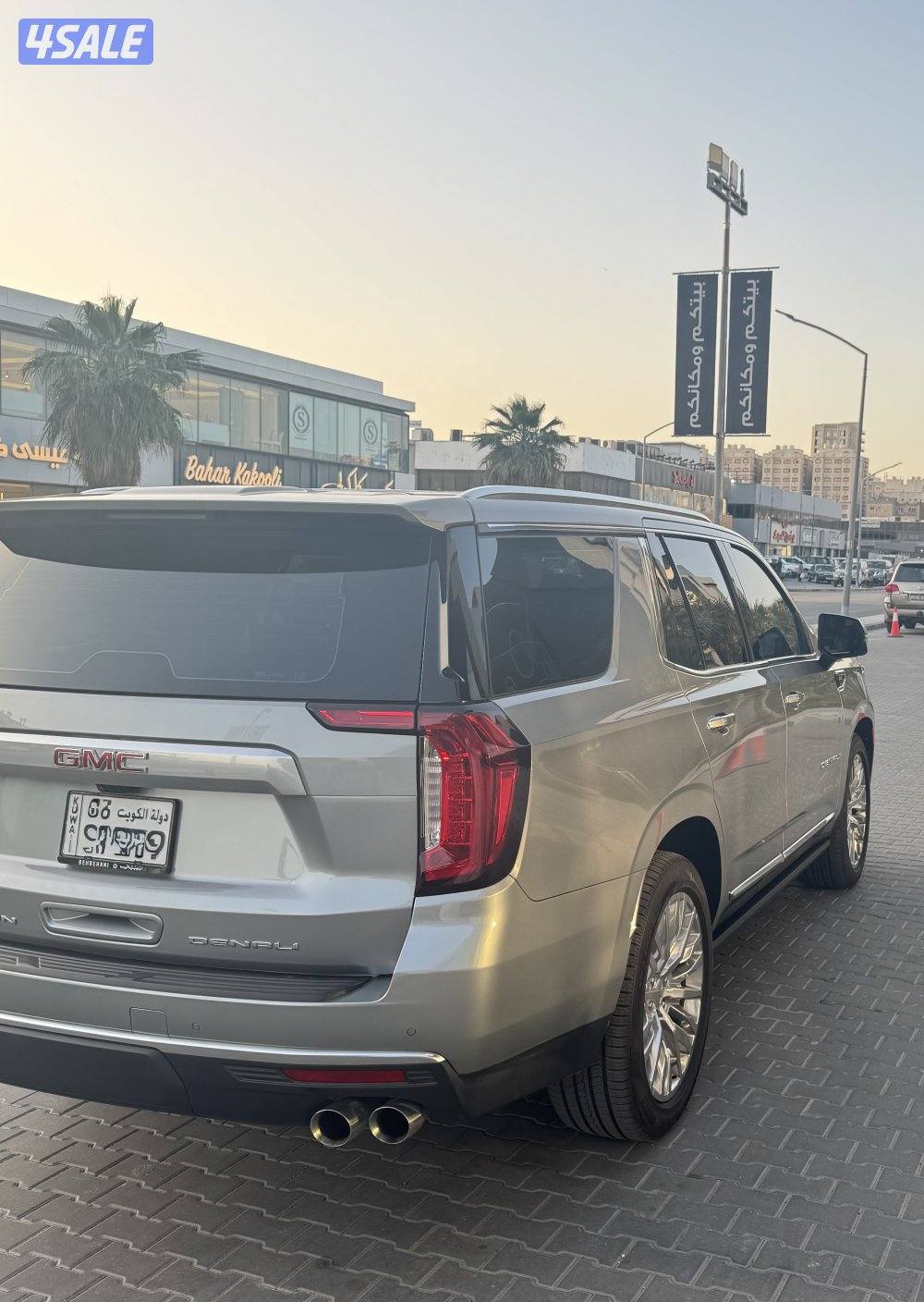 للبيع دينالي 202412