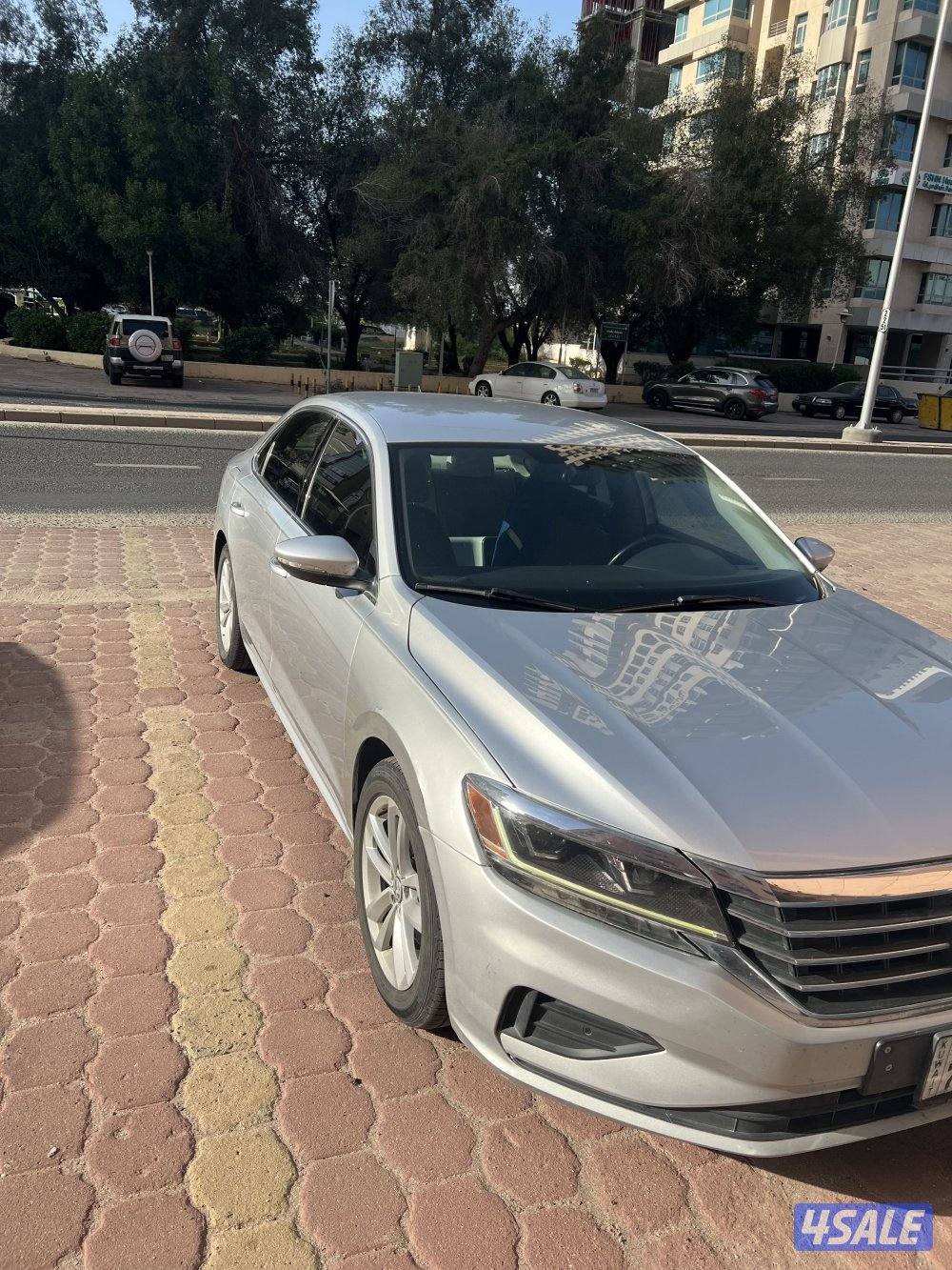 باسات ٢٠٢٠ صبغ وكاله ماعدا قطعه0