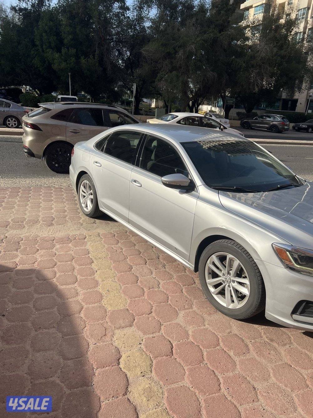 باسات ٢٠٢٠ صبغ وكاله ماعدا قطعه6