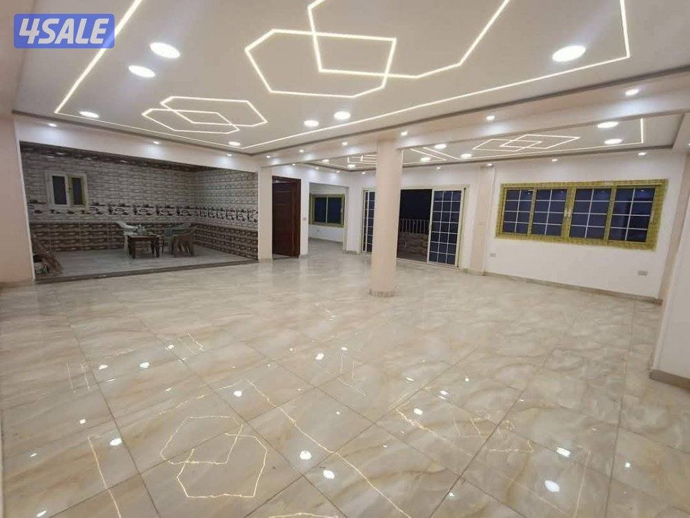 شقة مباشرة على النيل للبيع2