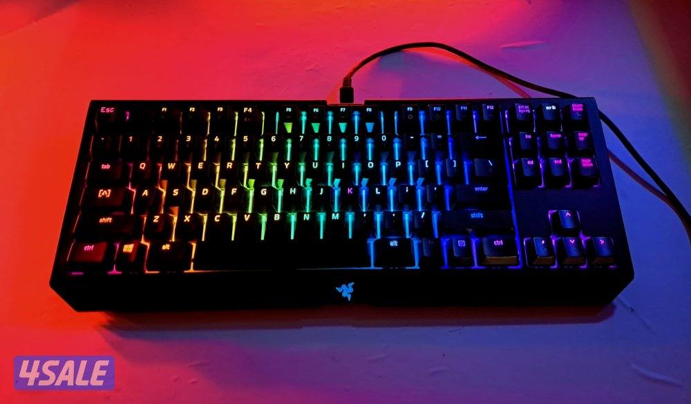 Razer BlackWidow TE Chroma V20