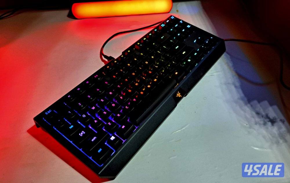 Razer BlackWidow TE Chroma V21