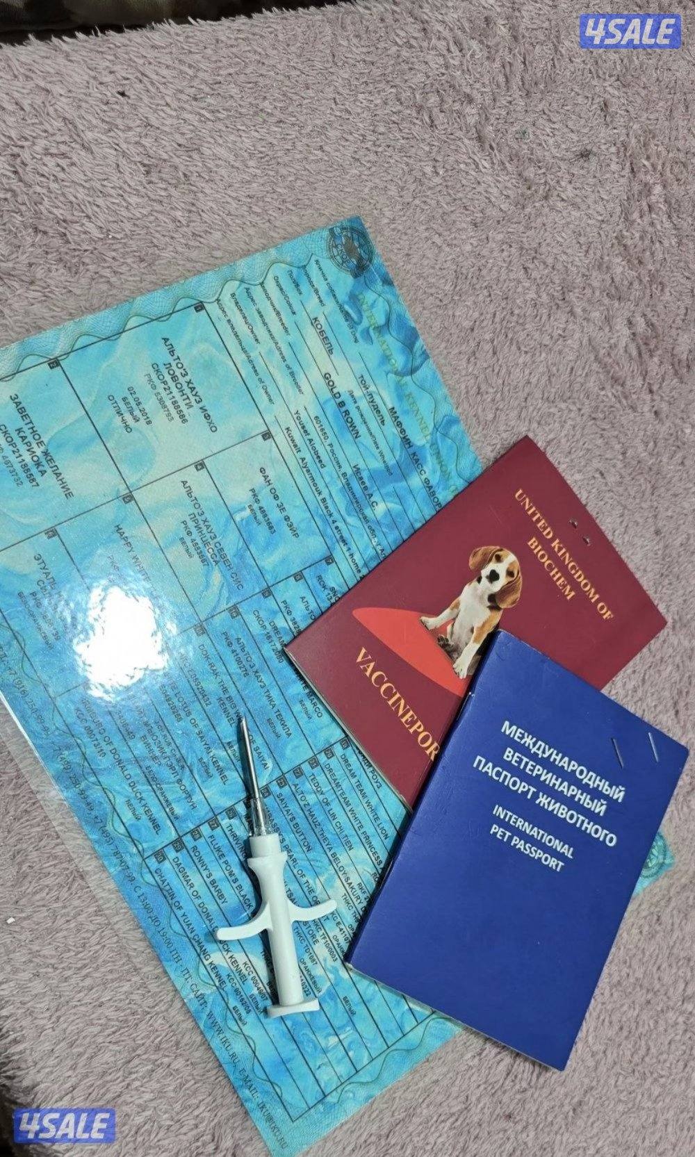 بول سوووووبر تي كاب لون غامق نتفه عليها ميكروتشب بالرقم التسلسلي5