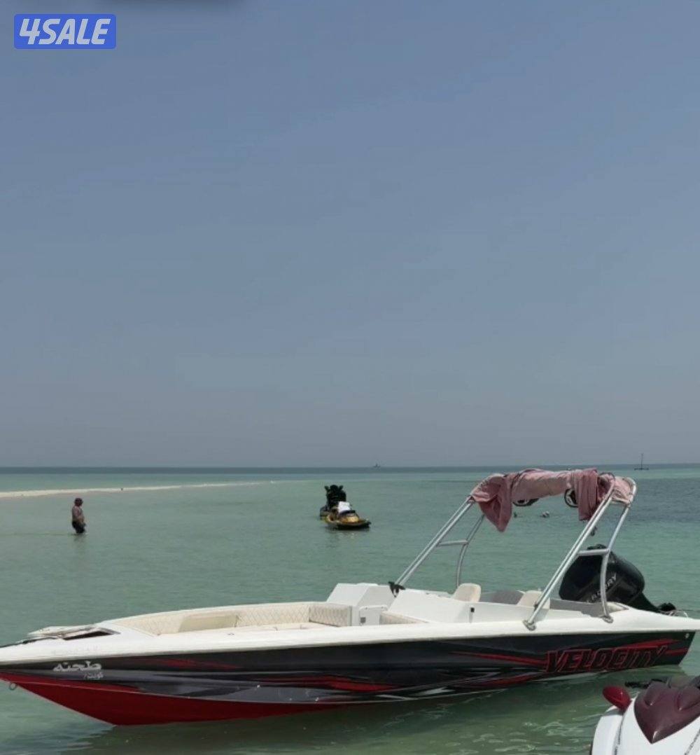 طراد فلوستي0