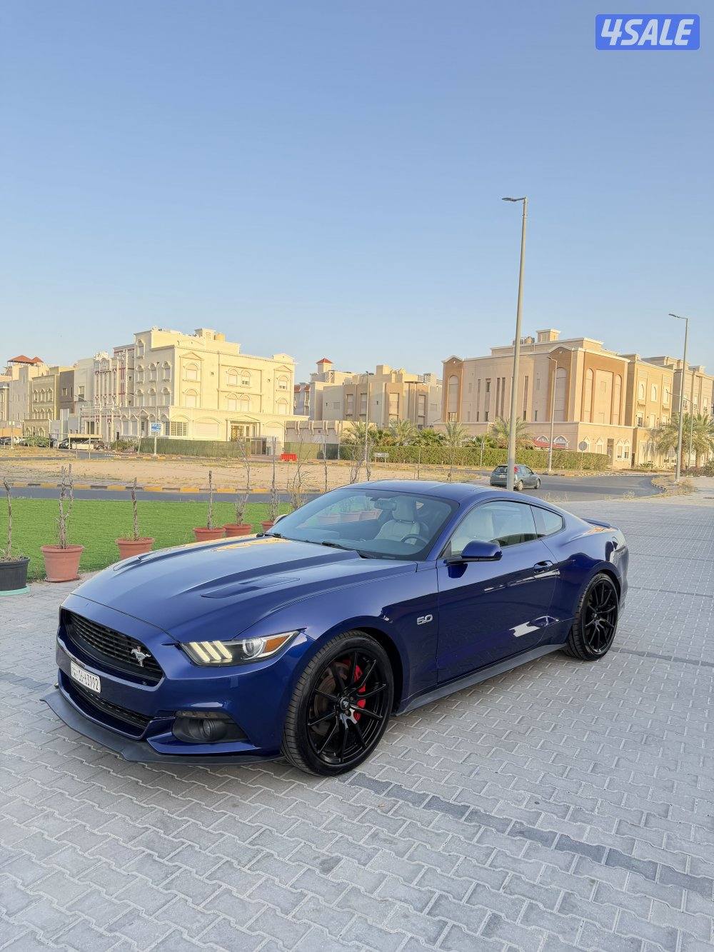 موستنق قير عادي عداد 87 شرط الفحص شاصي جيد1