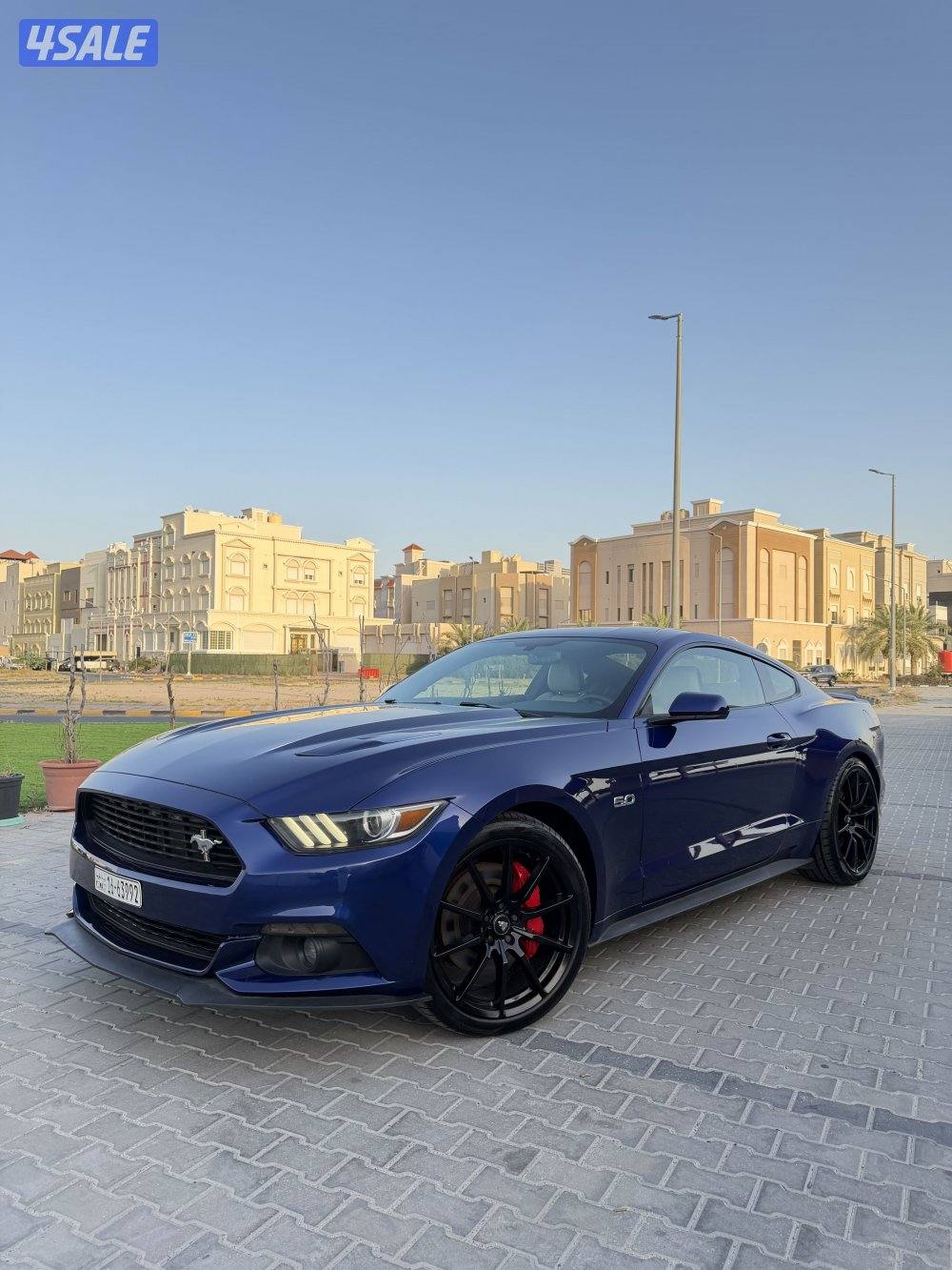 موستنق قير عادي عداد 87 شرط الفحص شاصي جيد3