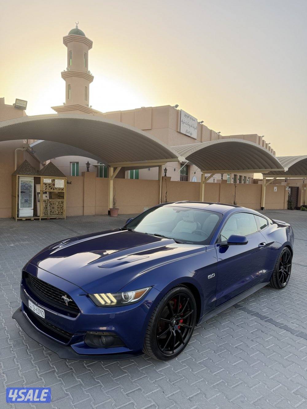 موستنق قير عادي عداد 87 شرط الفحص شاصي جيد4