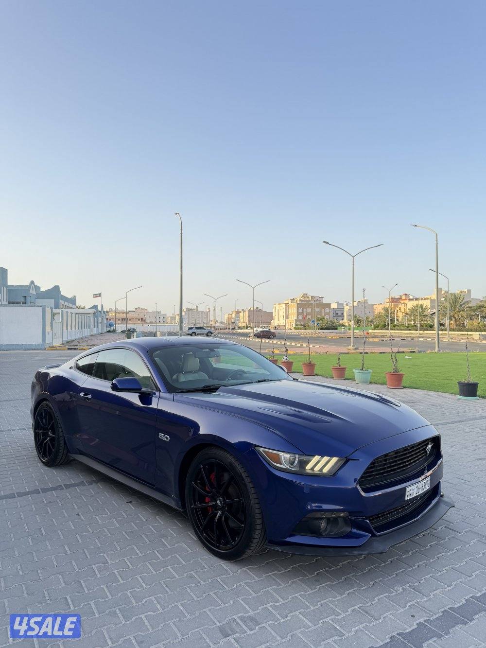 موستنق قير عادي عداد 87 شرط الفحص شاصي جيد6