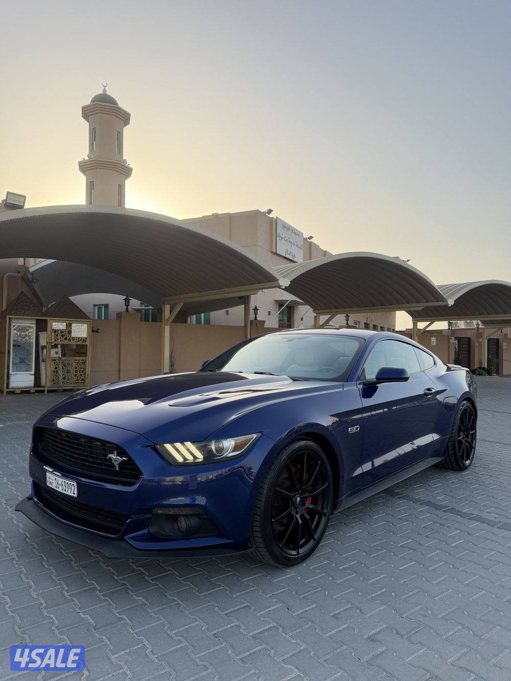 موستنق قير عادي عداد 87 شرط الفحص شاصي جيد8