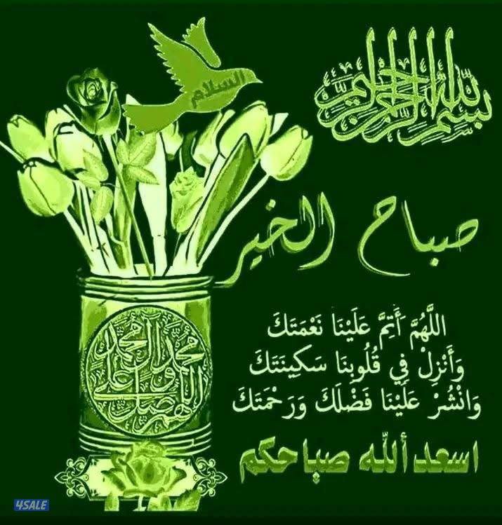 مطلوب شراء رخصه تاكسي جوال أو تحت الطلب0